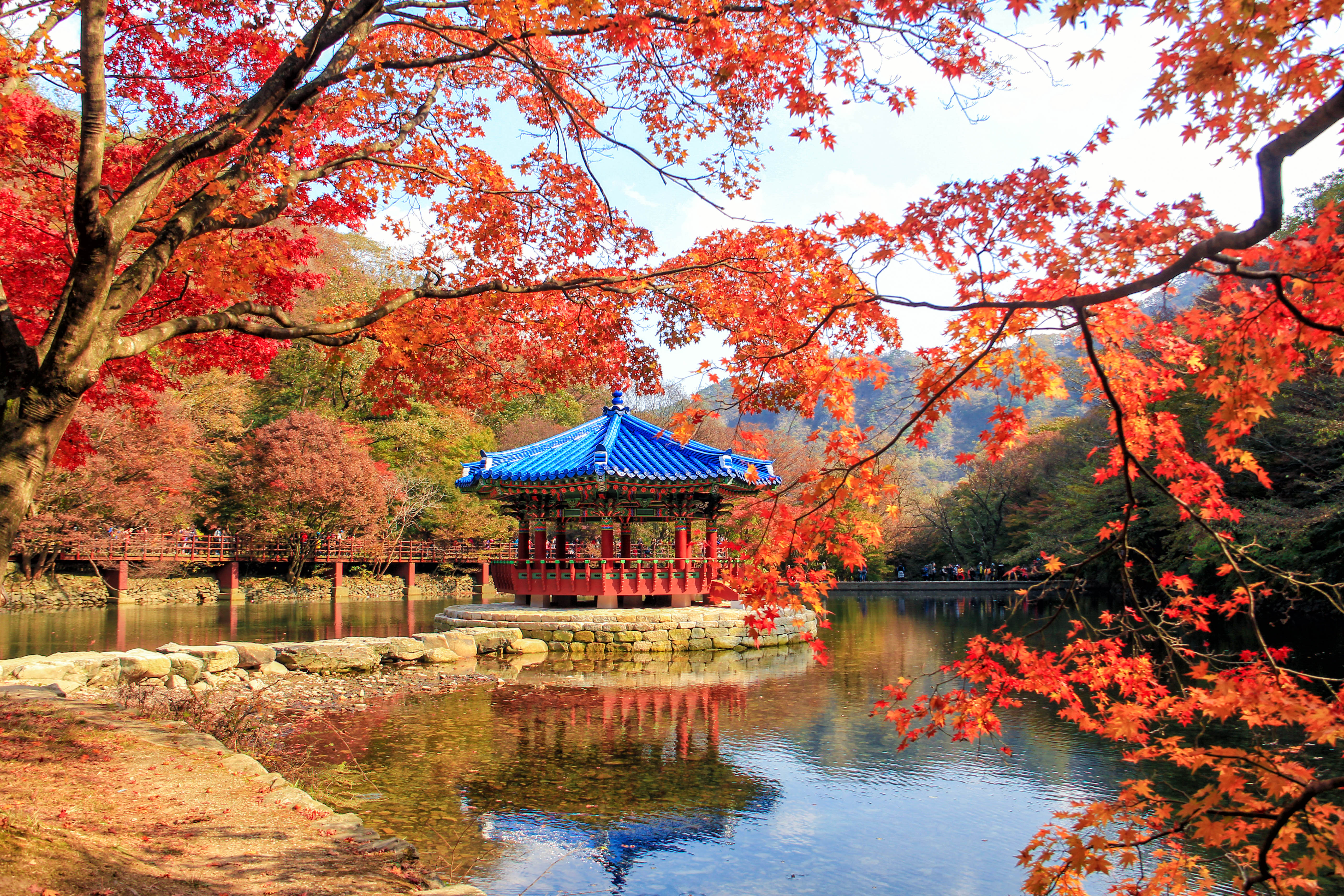 The blue-roofed Uhwajeong pavilion on a pond framed by vivid red maple trees at Naejangsan National Park