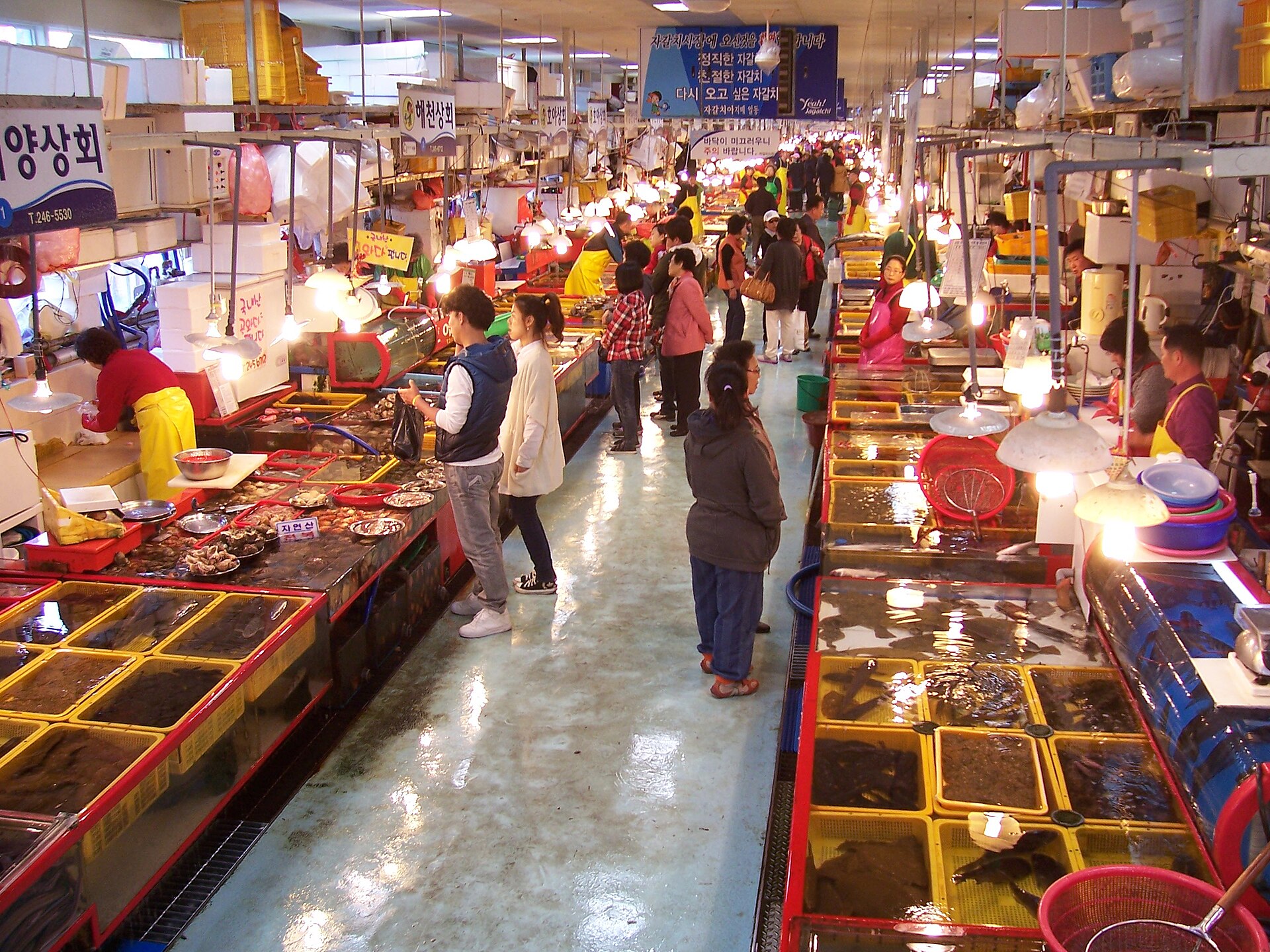 Rows of vendors and seafood tanks inside Jagalchi Fish Market in Busan