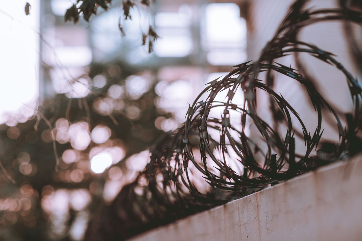 A close-up of a coil of sharp concertina razor wire running along the top of a wall, with a blurred green background.