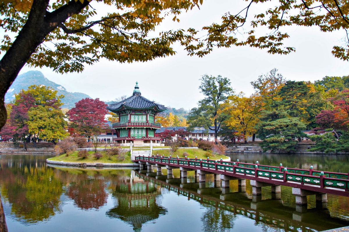 Gyeongbokgung's hexagonal Hyangwonjeong pavilion on its tiny island, the green-and-vermilion woodwork mirrored in a still pond and ringed by red maple and gold — the classic Seoul-in-autumn scene you don't even have to leave the city to find.