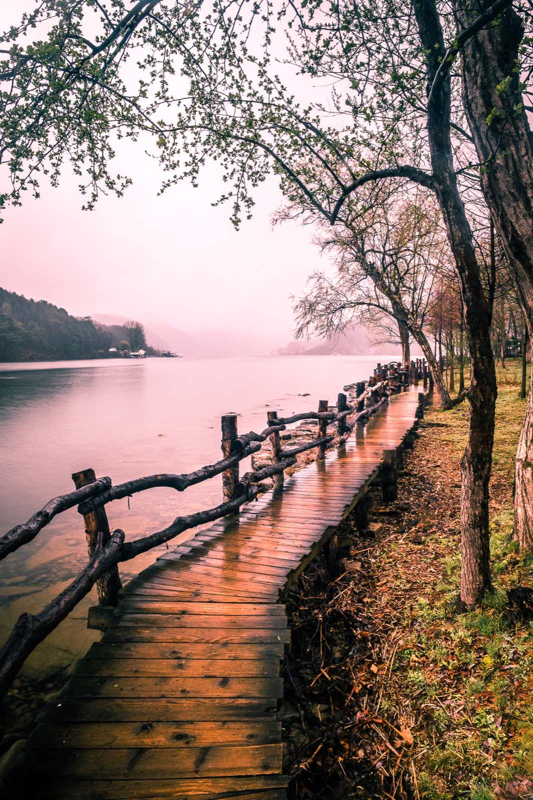 Tree-lined lakeside boardwalk on Nami Island