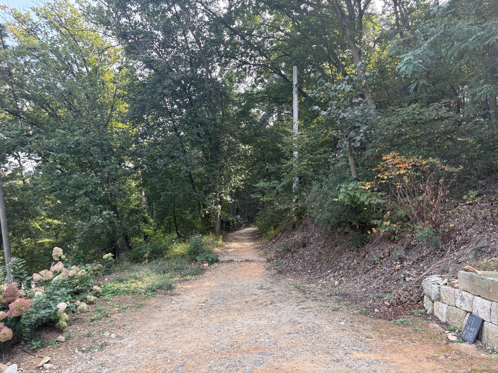 A dirt path through trees leading toward the temple