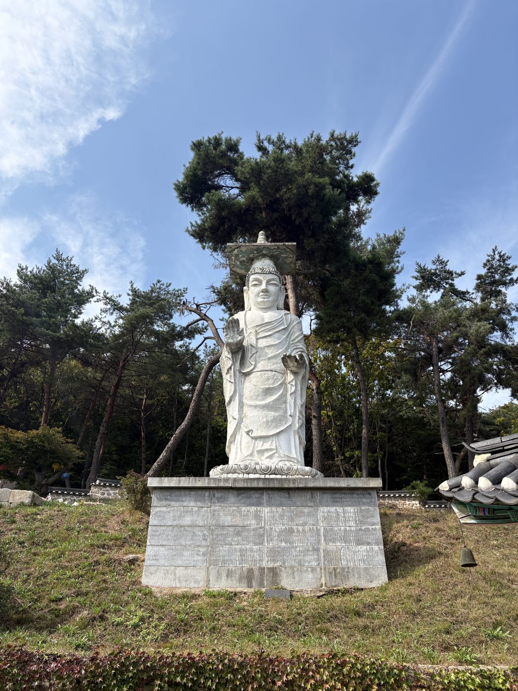 A white standing Buddha statue on a stone base with pine trees behind it